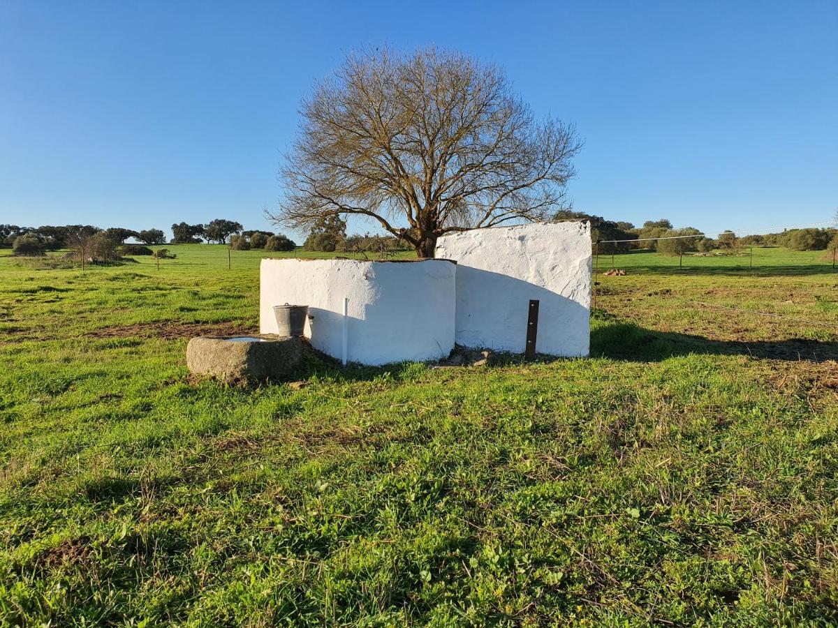 Monte Das Cobras - Country House Évora Eksteriør bilde